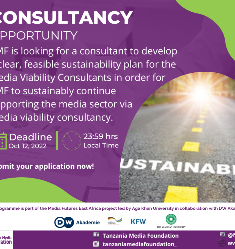 Call to engage a Consultant to Design a Media Viability Consultancy Sustainability Plan