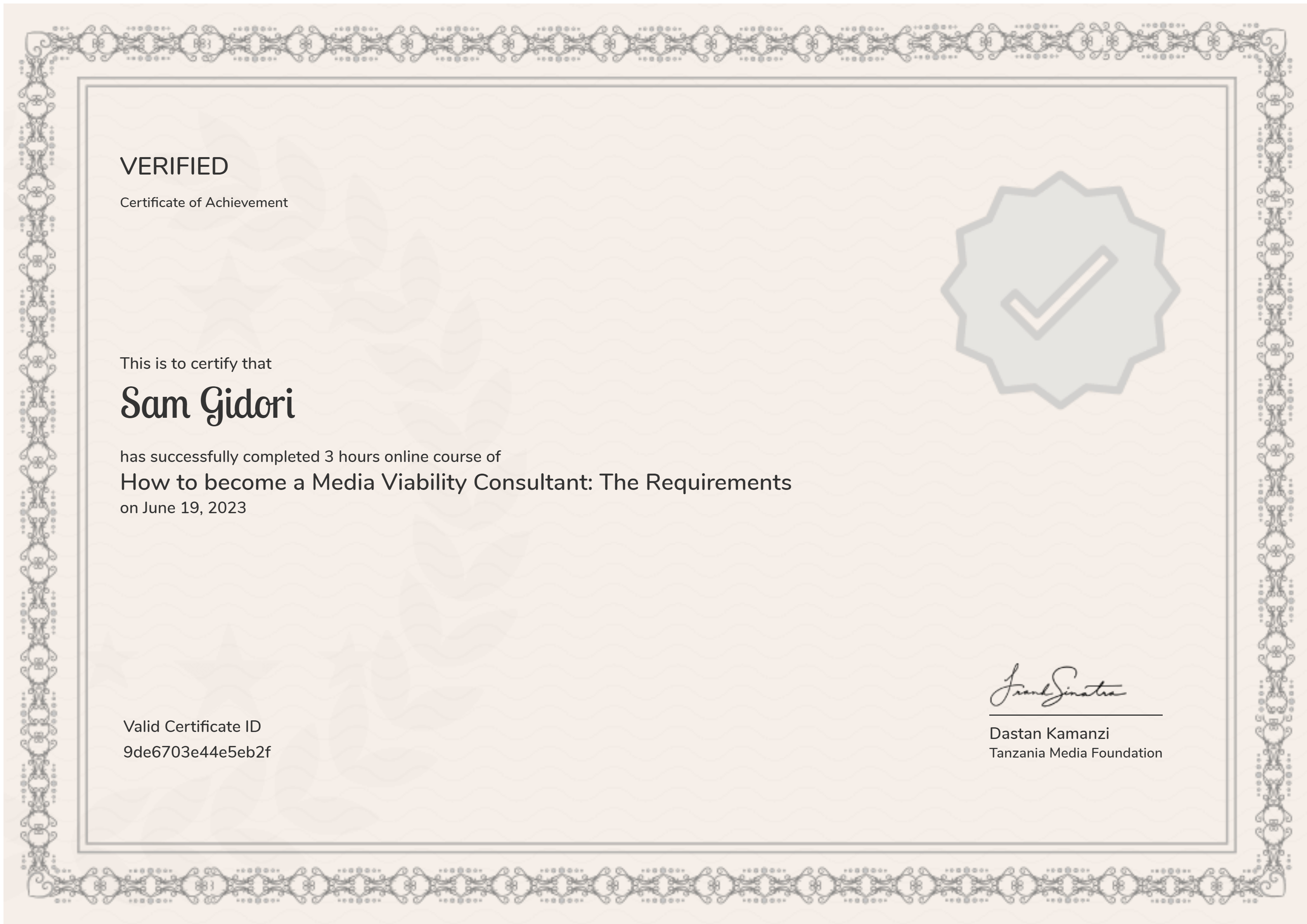 How to become a Media Viability Consultant: The Requirements