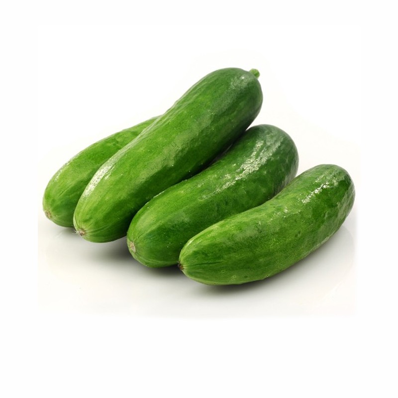 Organic Cucumber